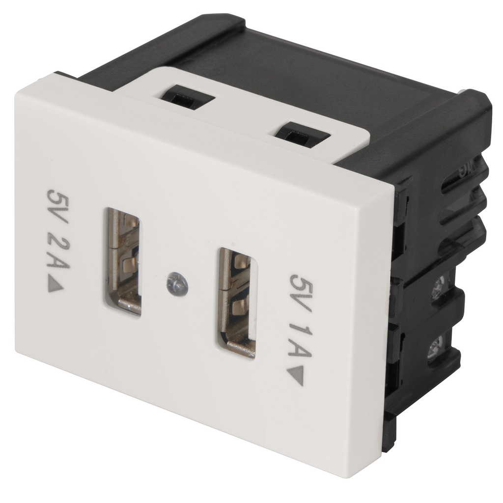 Toma con 2 puertos USB, 1.5 módulos, línea Española, blanco