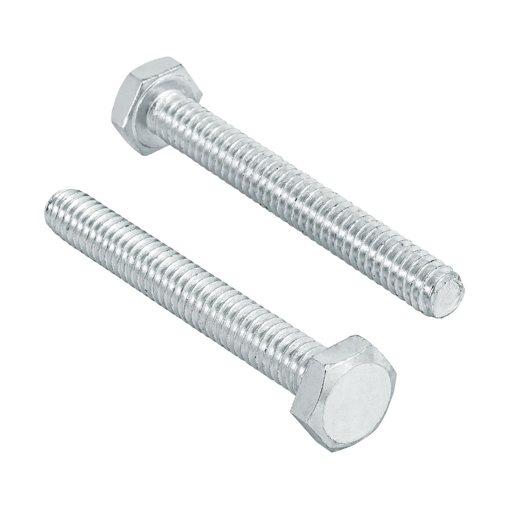 Bolsa con 60 tornillos 1/4' x 2' tipo máquina, Fiero