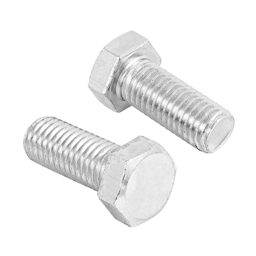 [44668] Bolsa con 10 tornillos 5/8' x 1-1/2' tipo máquina, Fiero