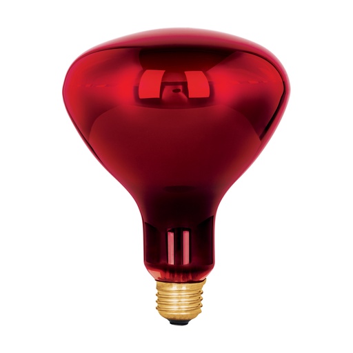 [48324] Lámpara BR-40 250 W tipo reflector infrarrojo terapéutico